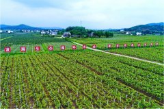 四川财政加力支持现代农业园区建设